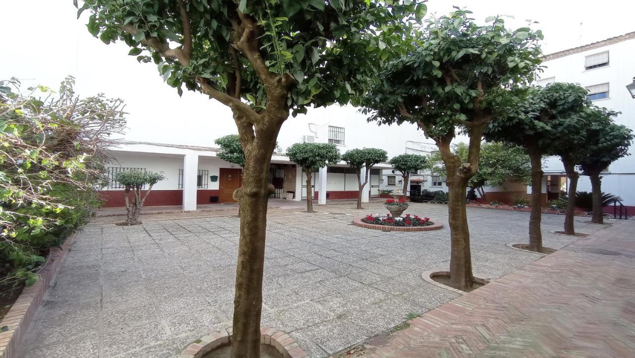 Apartamento Conde De Priego Κόρδοβα Εξωτερικό φωτογραφία